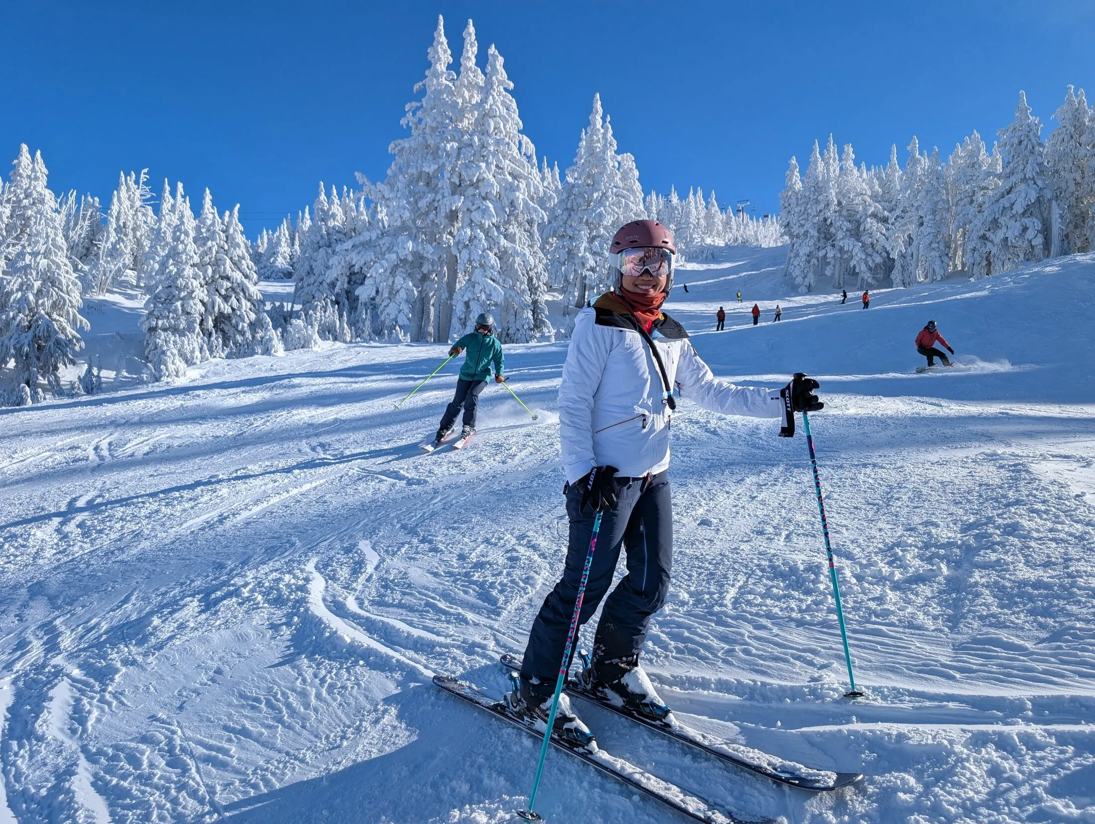Trees thickly caked in wet snow against a deep blue sky, a skier making a turn below them.